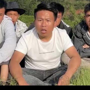 憨憨的八六