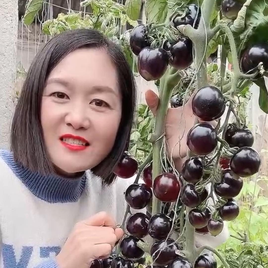 寿信园艺大妮
