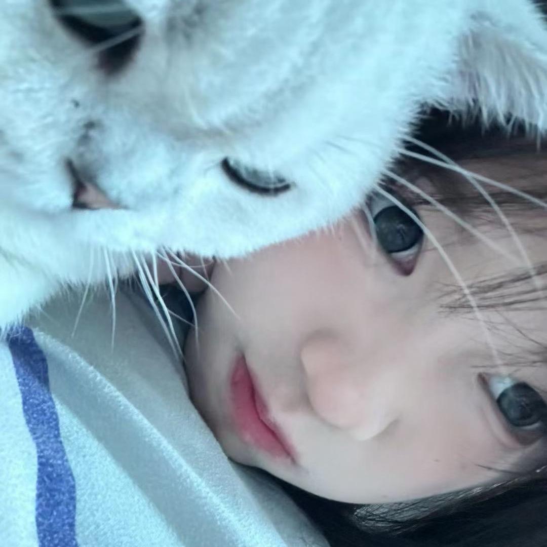 落暮˄·͈༝·͈˄₎୨