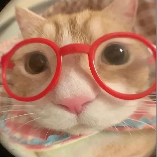 捕月记