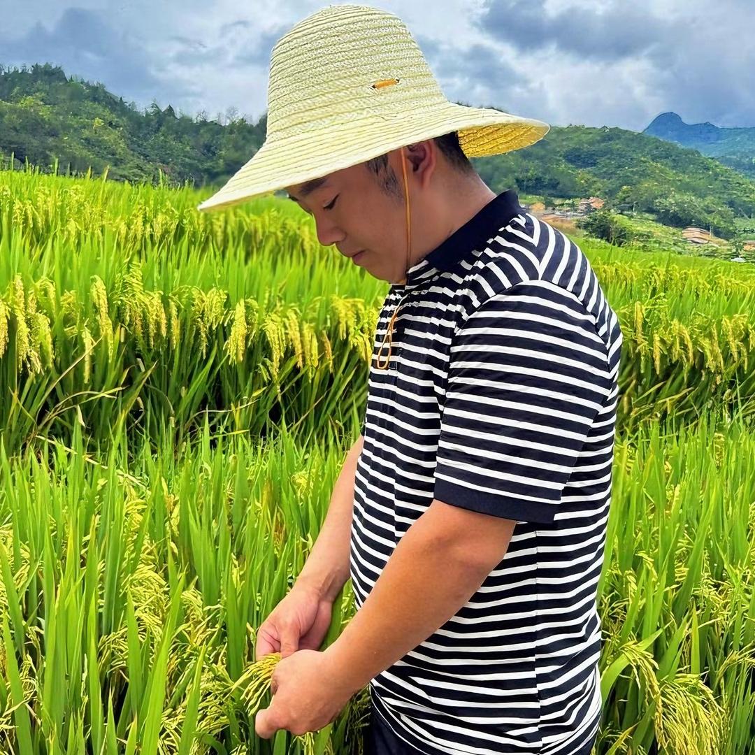 呆小呆哟