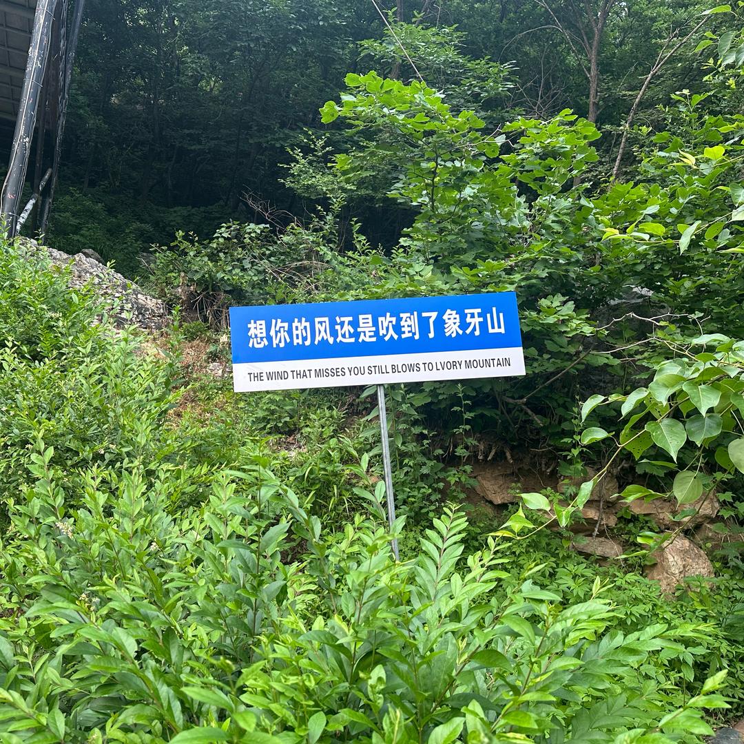 尧