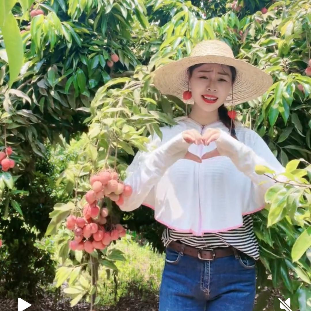 荔枝妃子