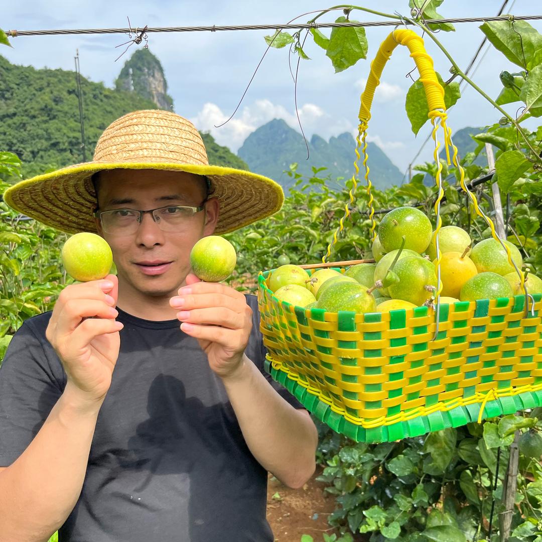 朗毅甄选百香果