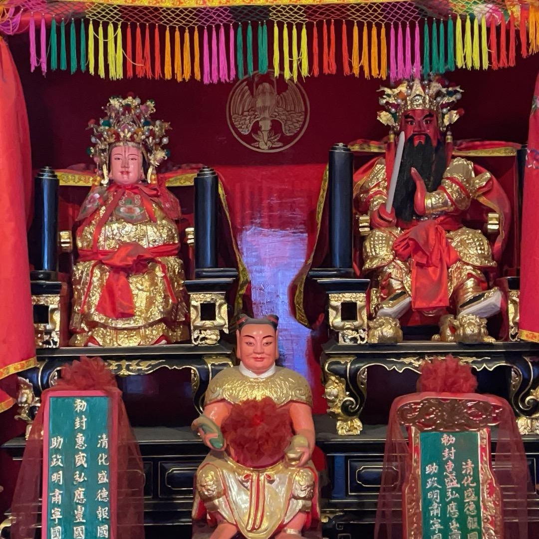 随心💫所欲