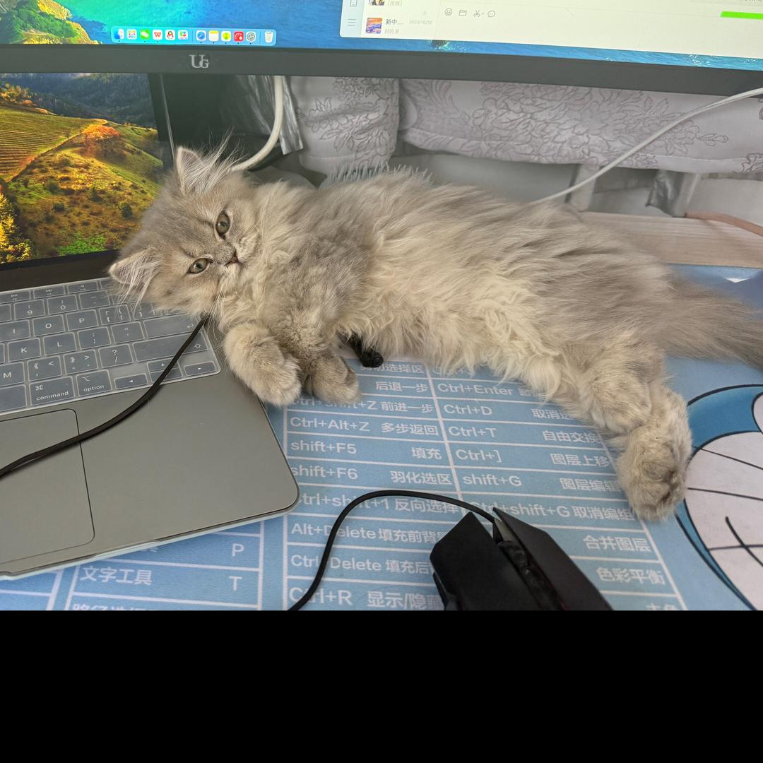 两点三行