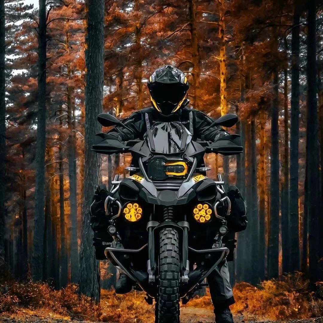 大白主人之变形记