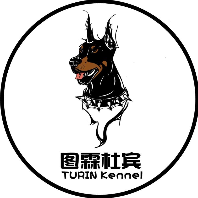 Turin图霖杜宾