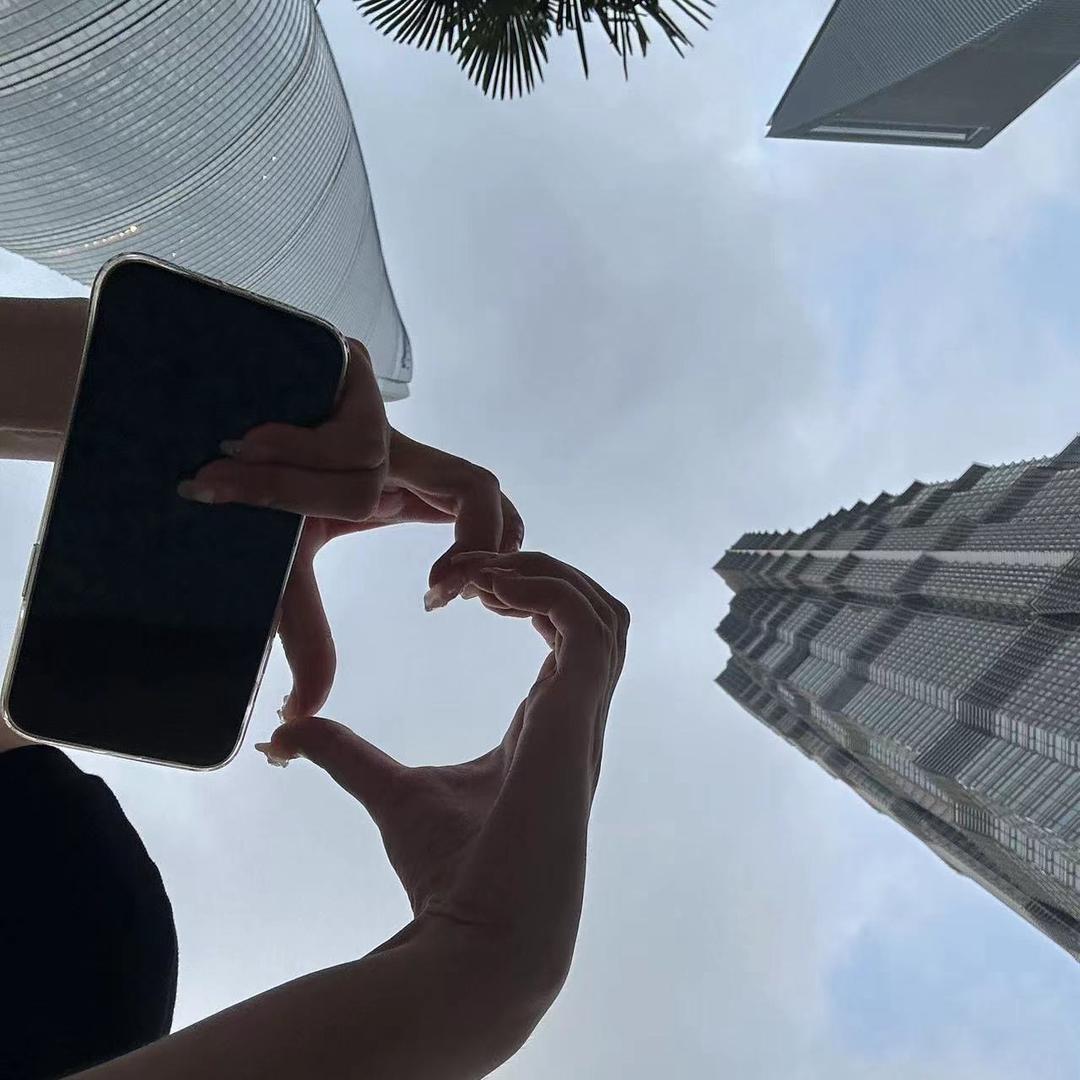 财富舵手💸
