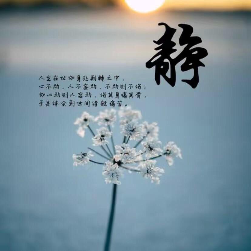 道明先生