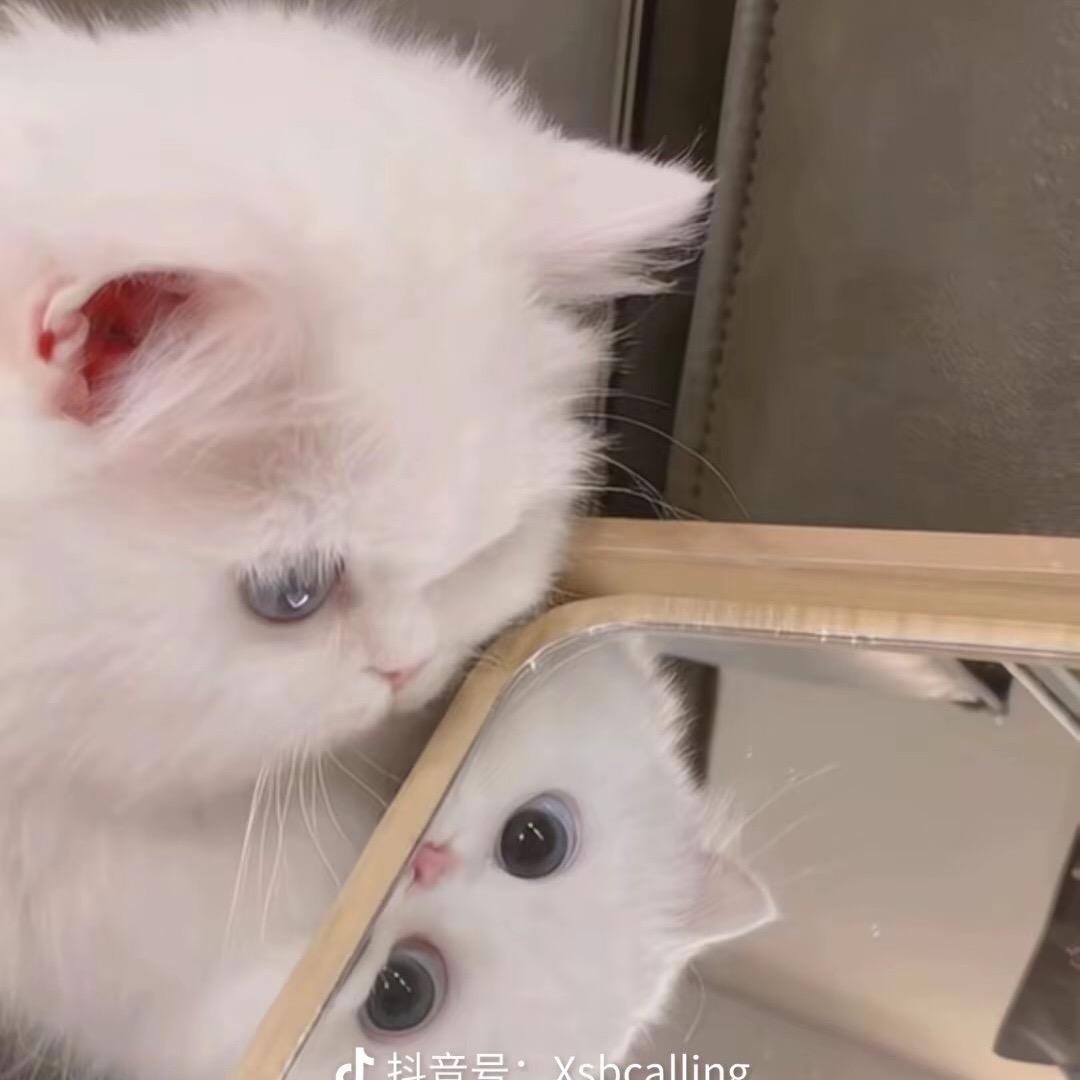 小美