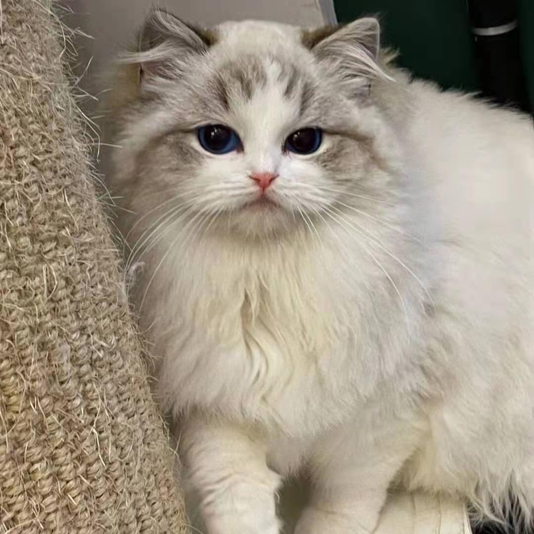 差不多先生。