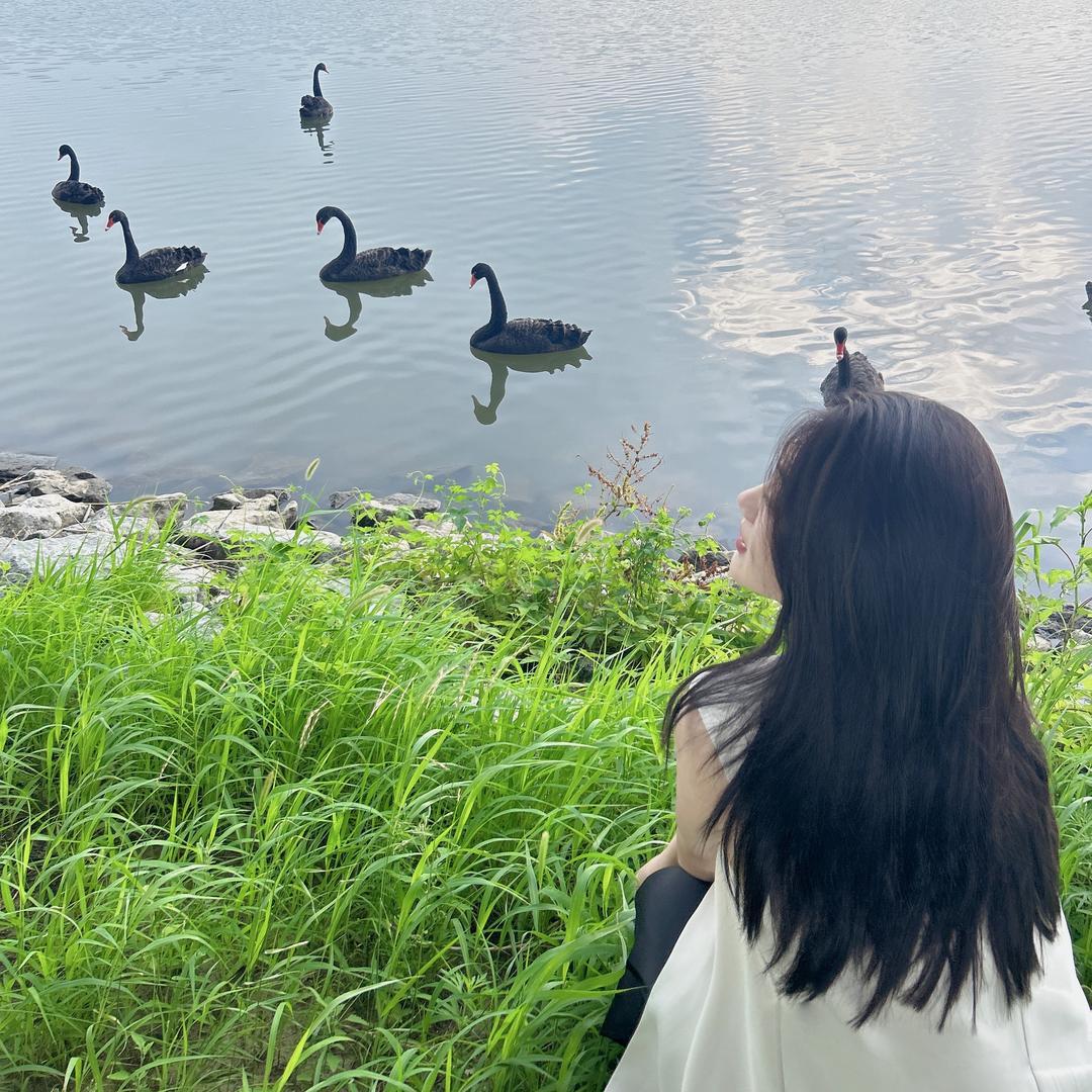 赵宇婷