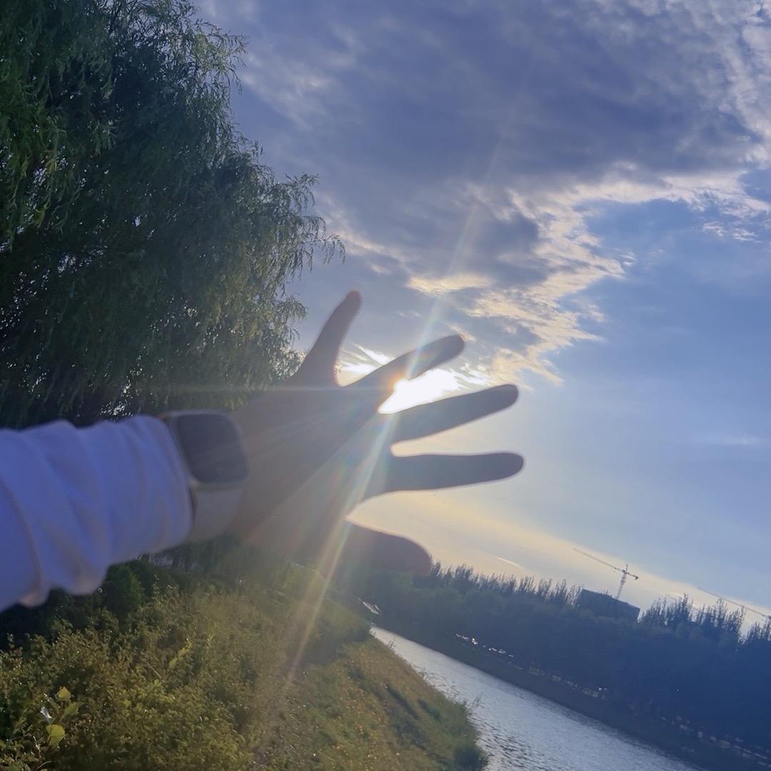 YS🌻🌻