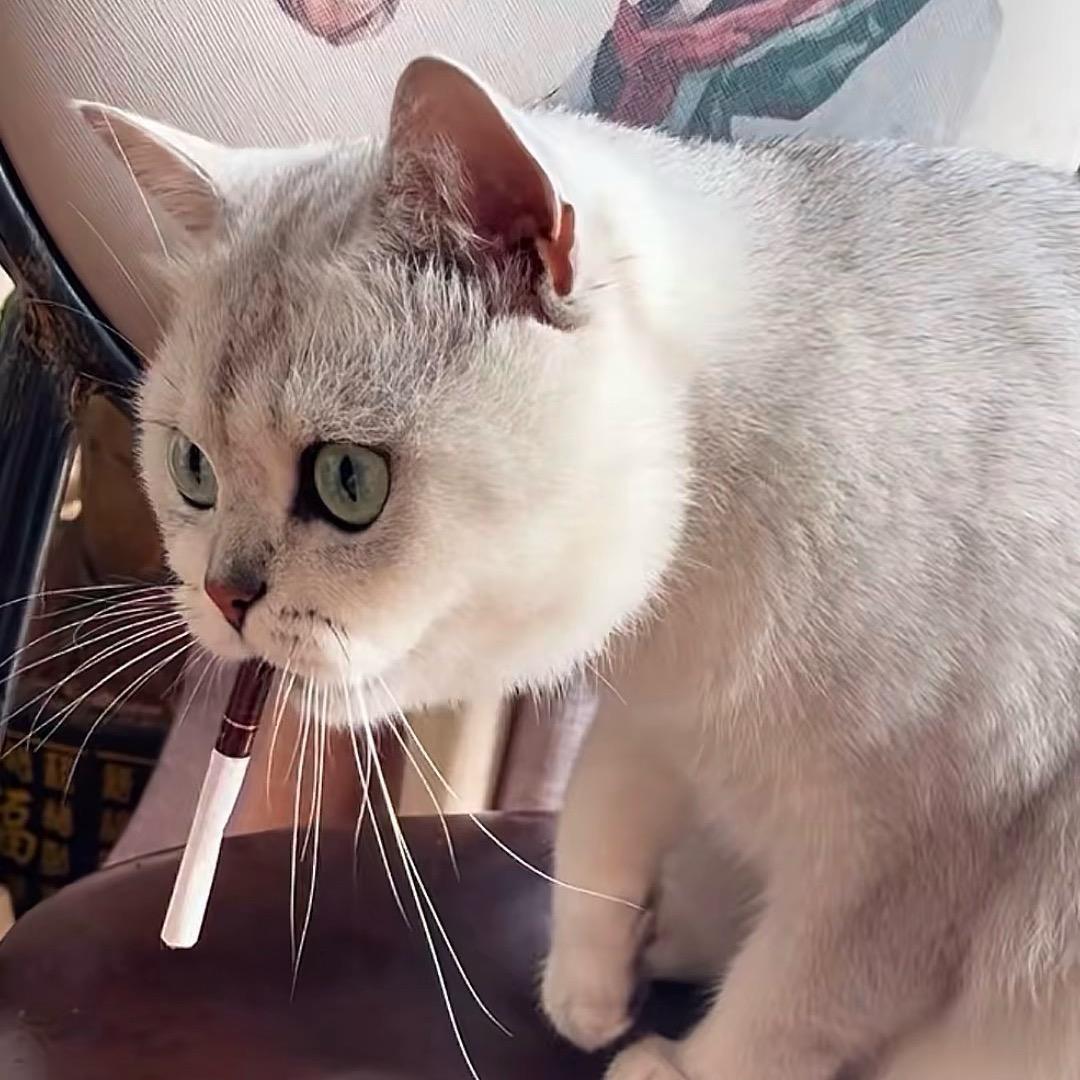 ℒฺℴฺνℯ̶ฺ庄小姐