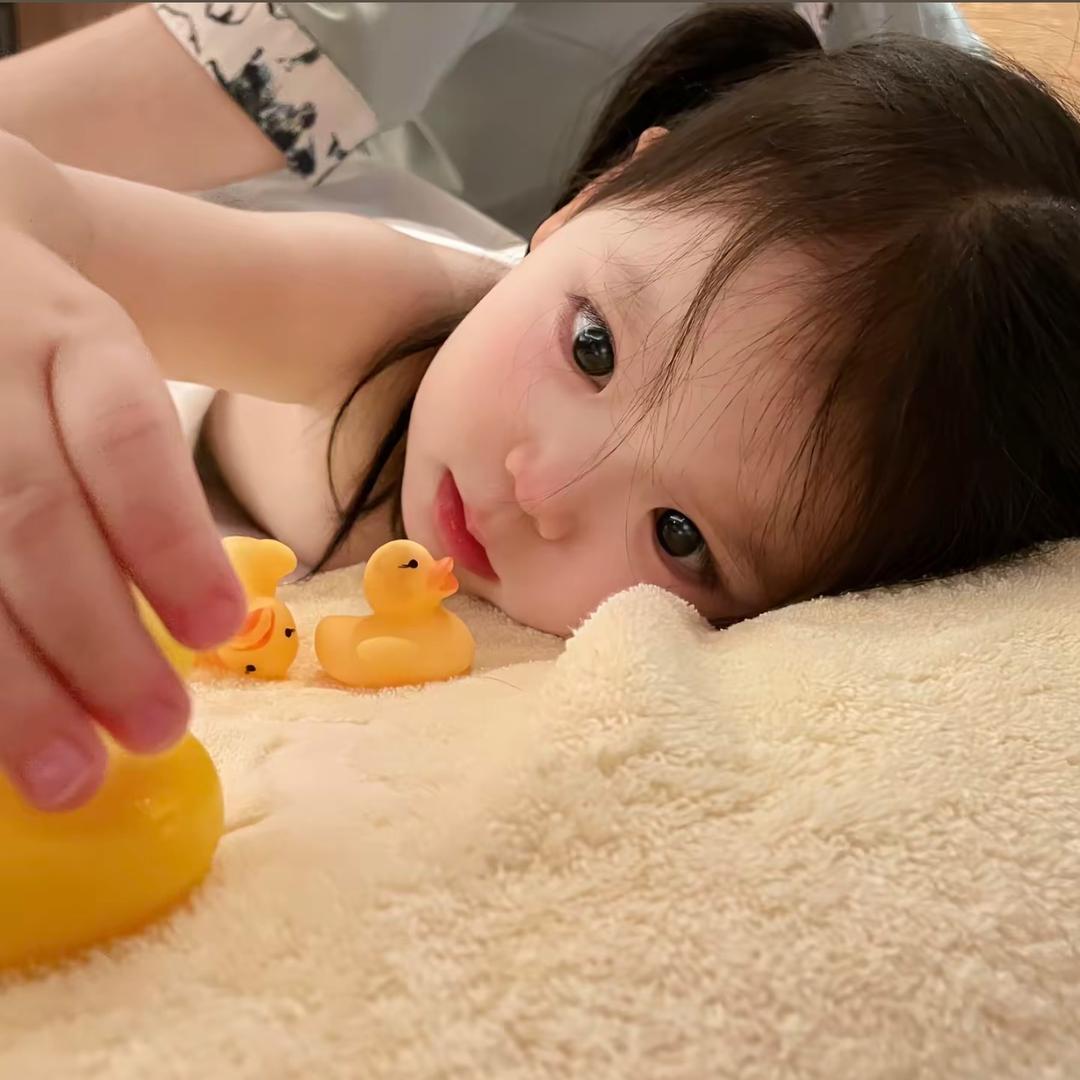 晨晨子🍅