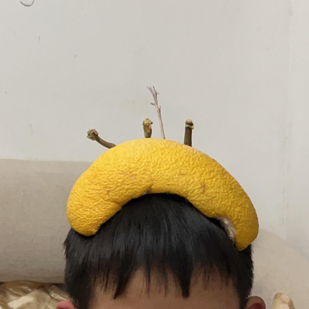 懒猫王