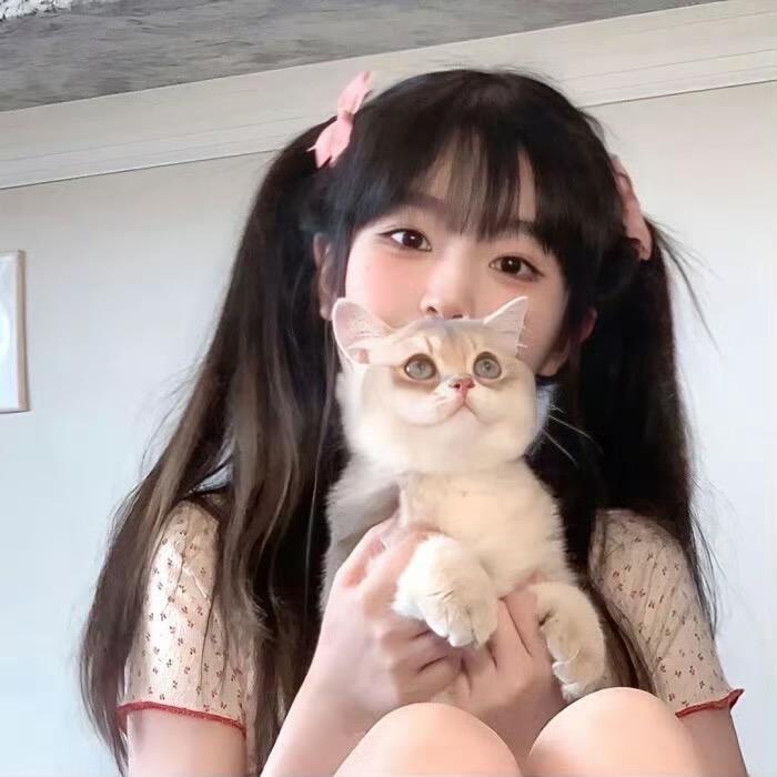 小猫doll