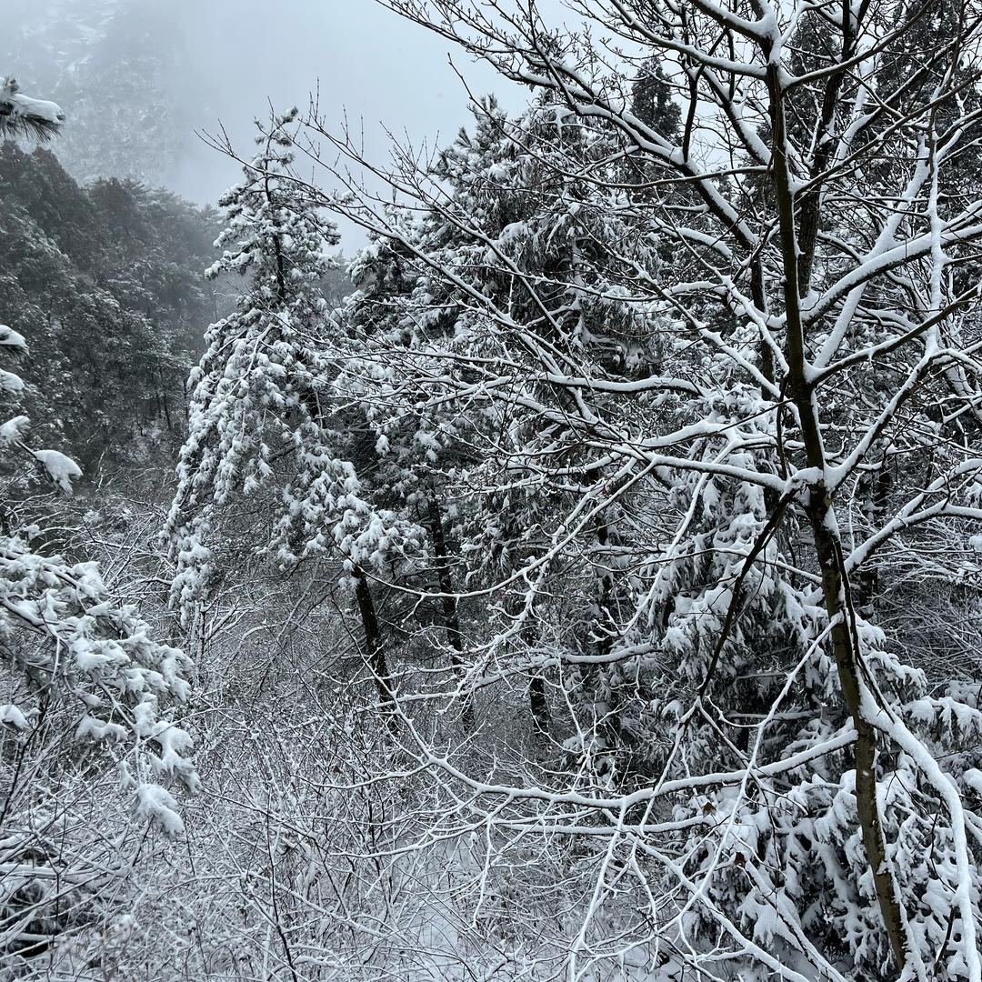 顺风顺水