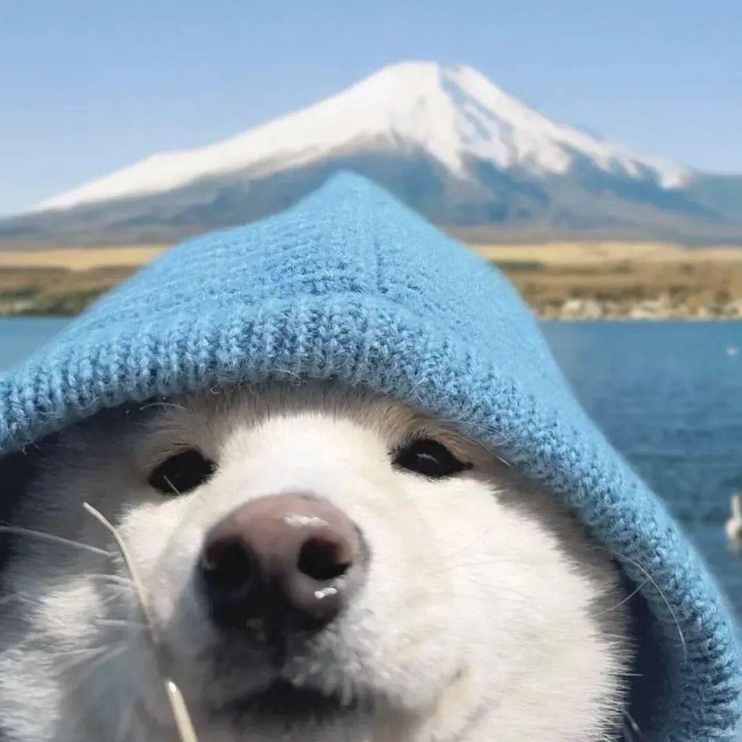 ◌⑅⃝◍橙汁