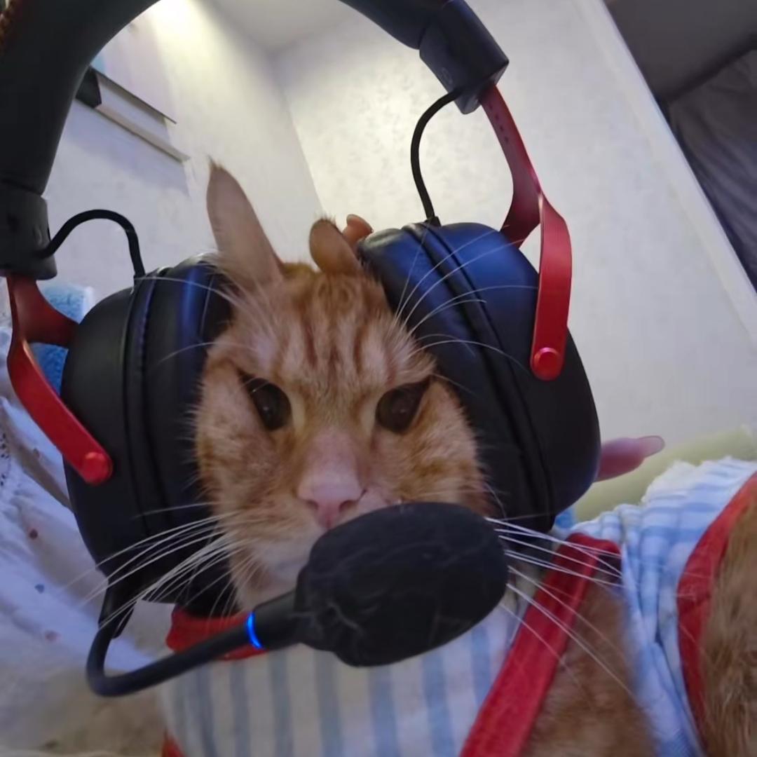 一闭上眼睛我就什么都看不见了真的很无助