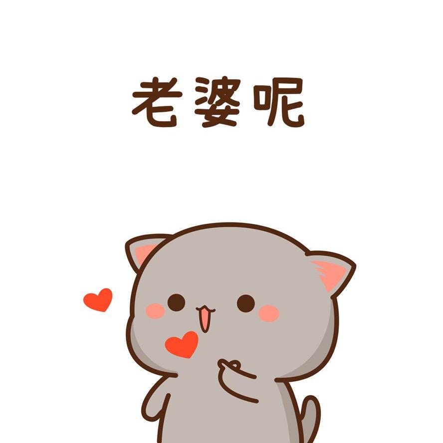 老虎仔
