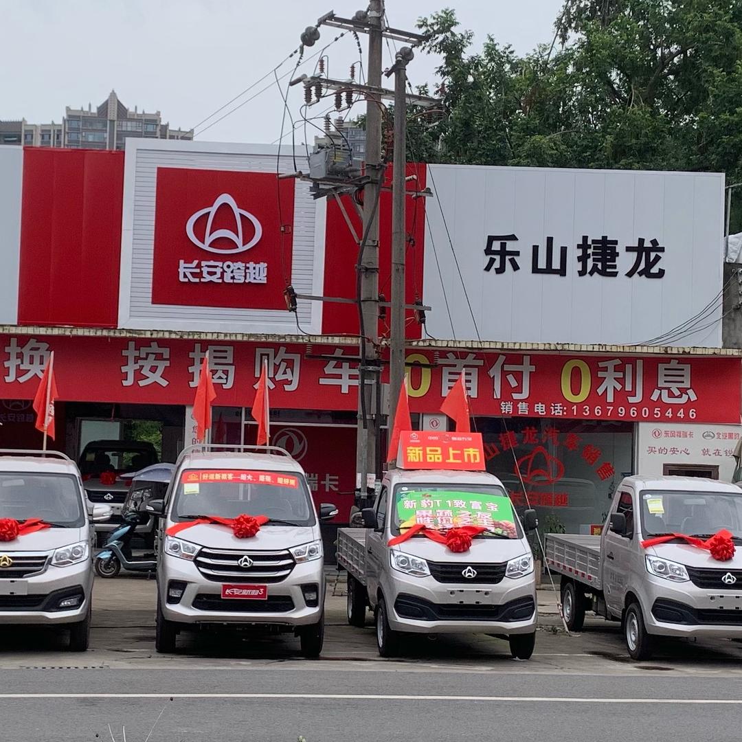 乐山捷龙小货车皮卡车