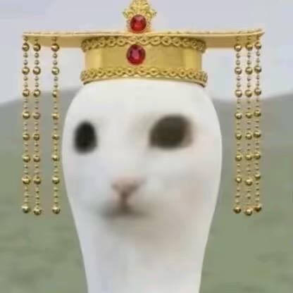 京城忧郁大小姐