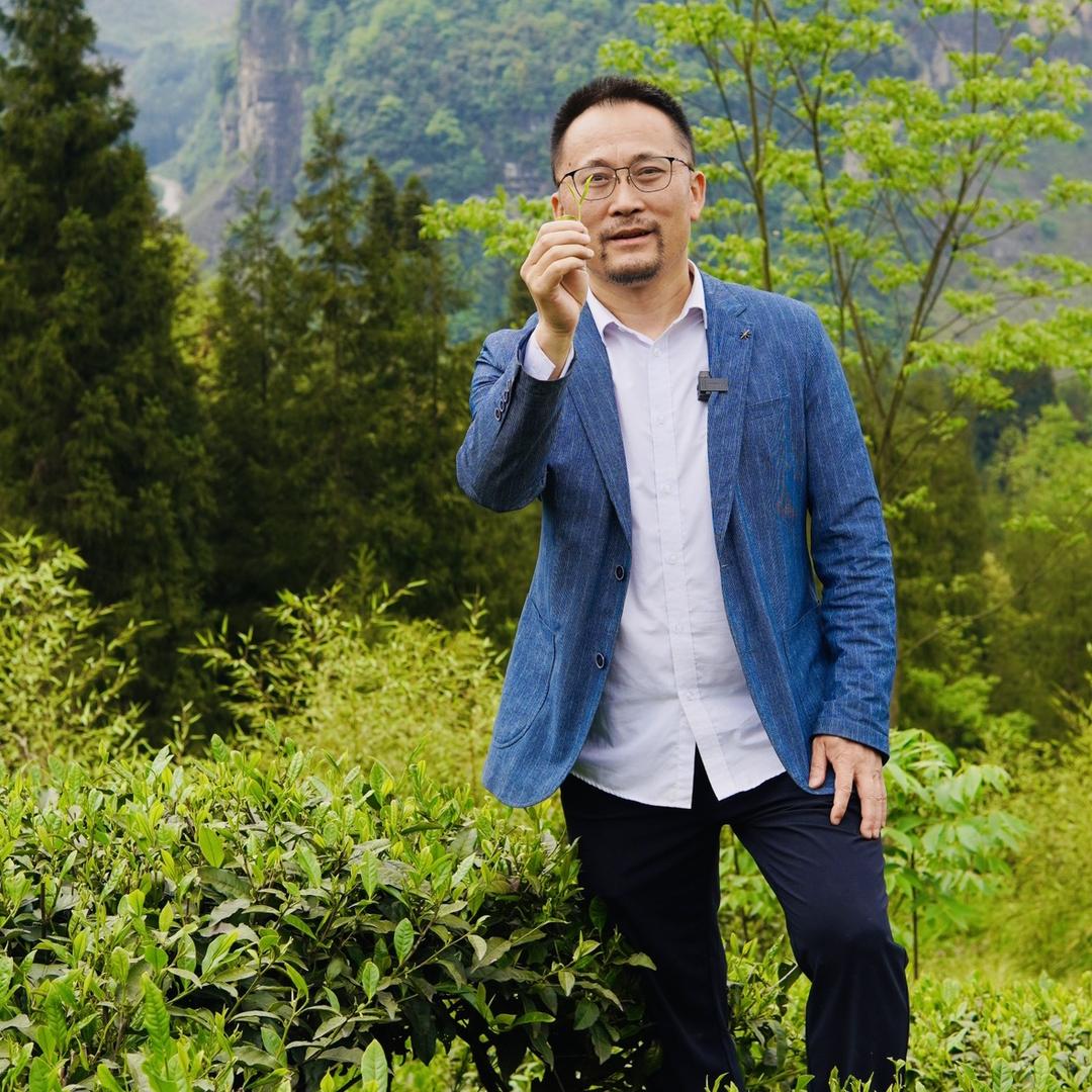 雅茶哥数学老师