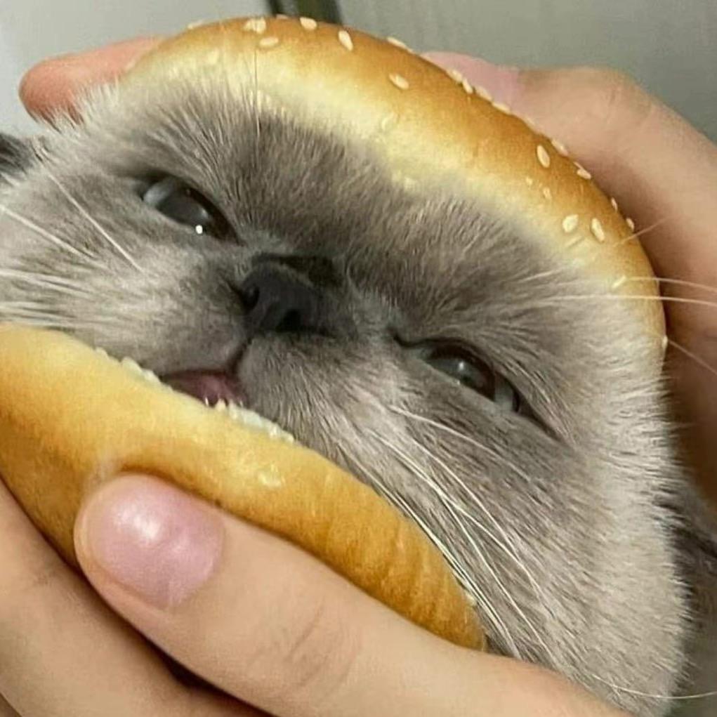 可可茜特🌰