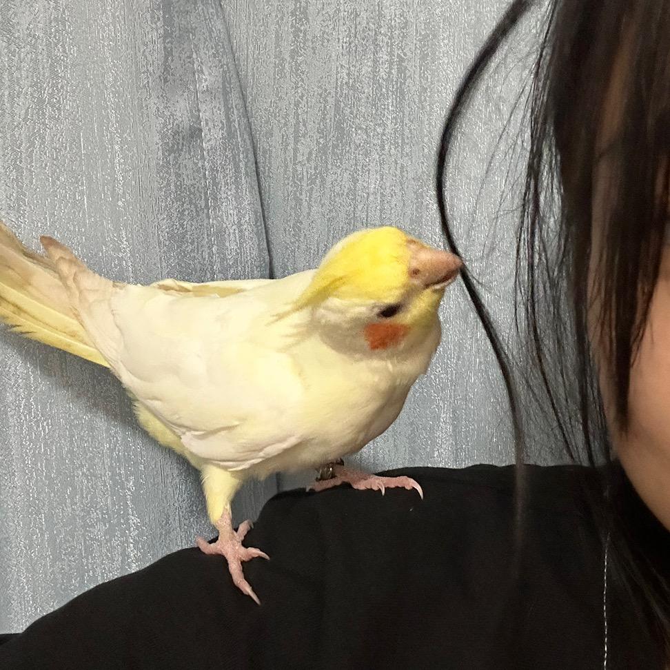 不QQQ糖