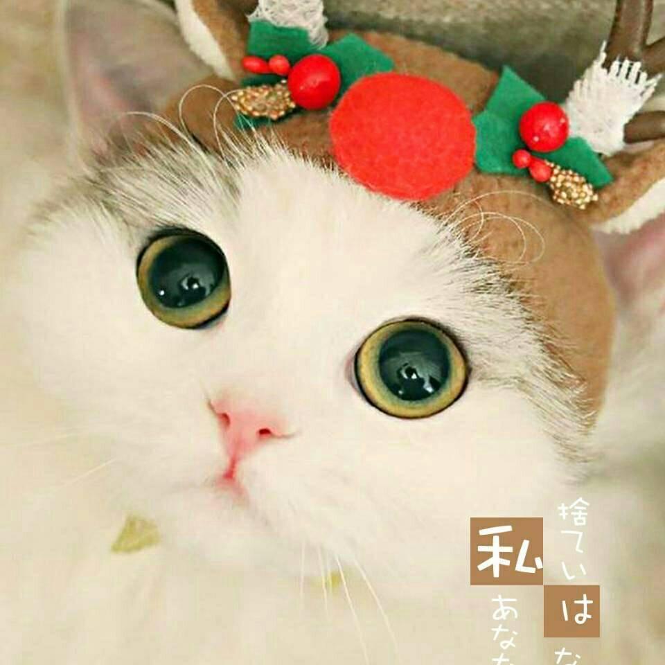 morg丑女