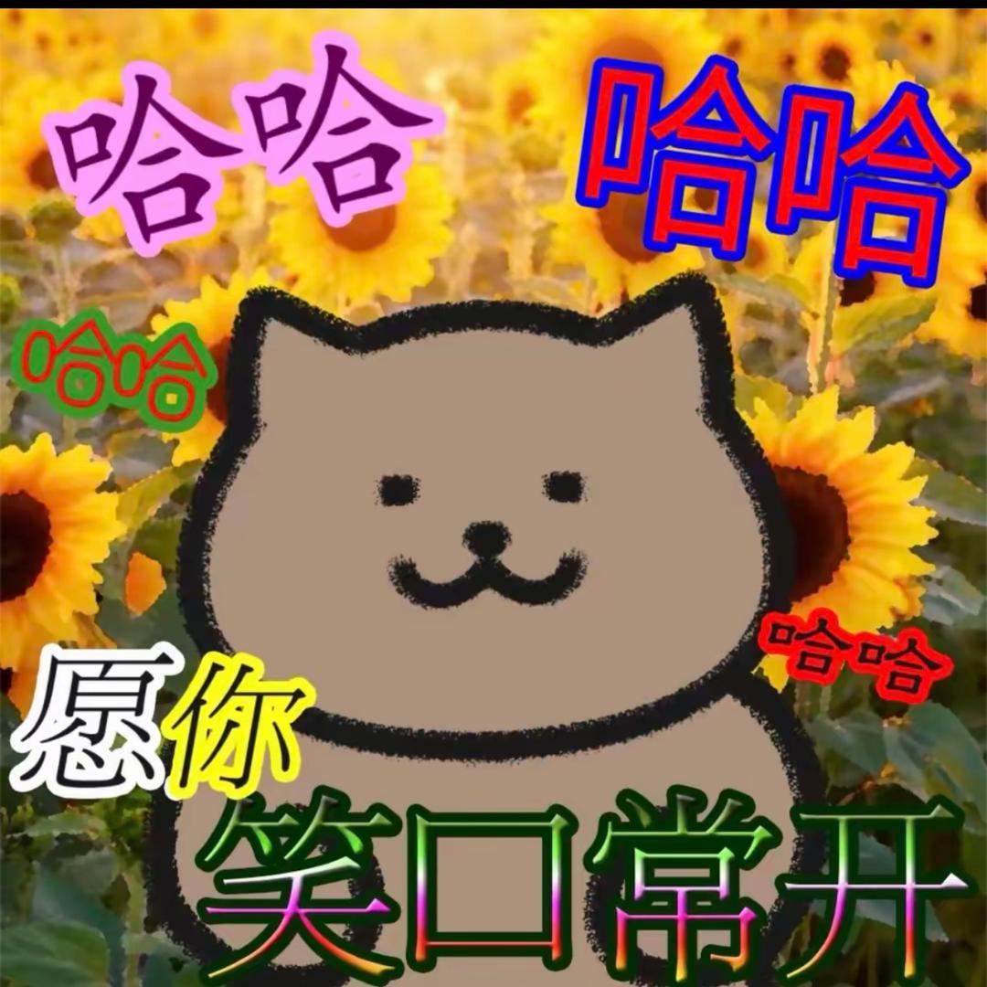 花开富贵潮玩(二部）
