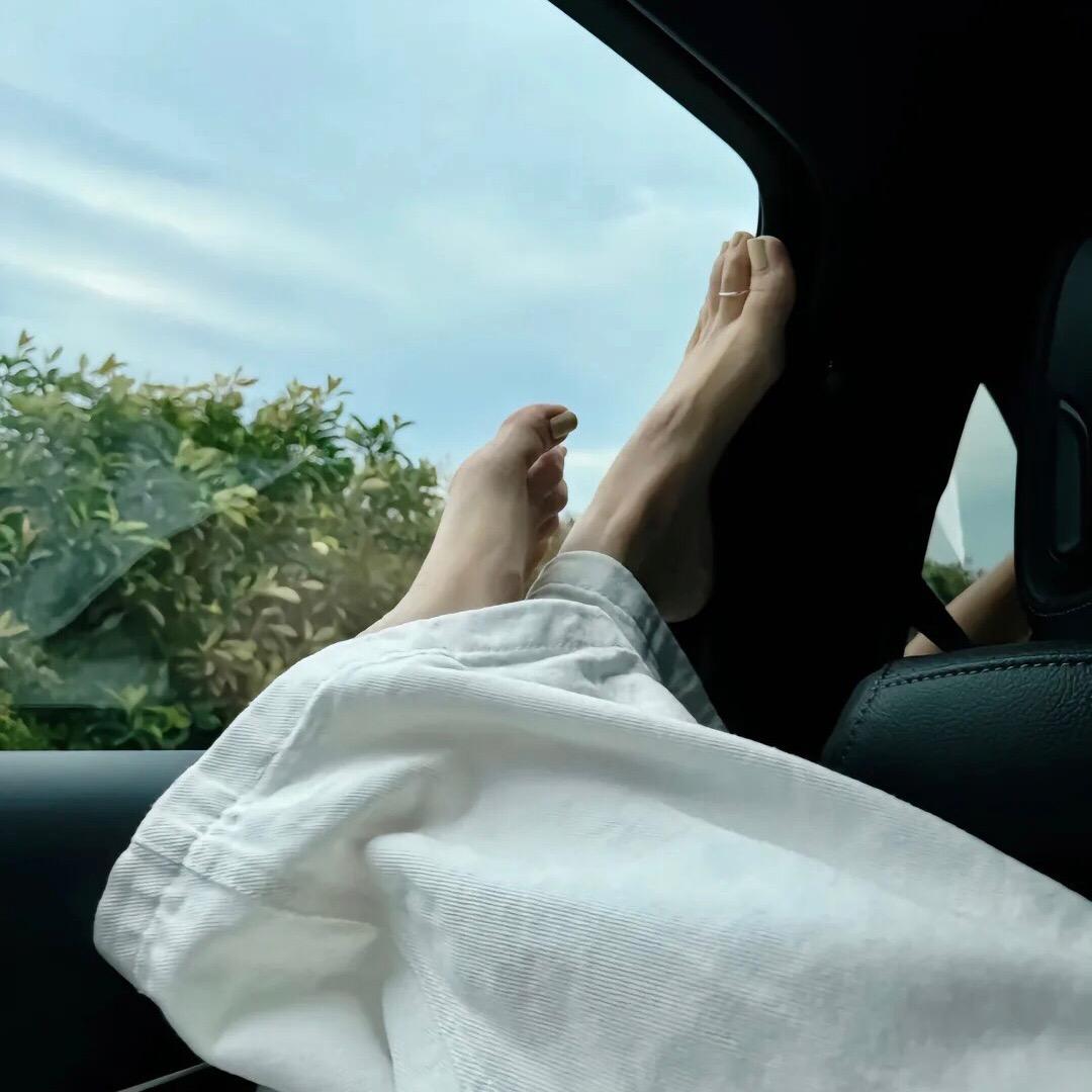 你的歌我的青春
