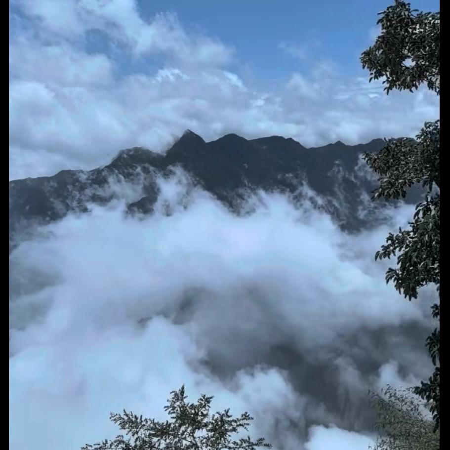 沿途风景