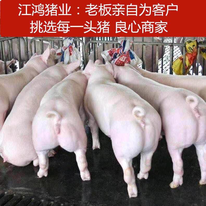 峨山江鸿养殖场