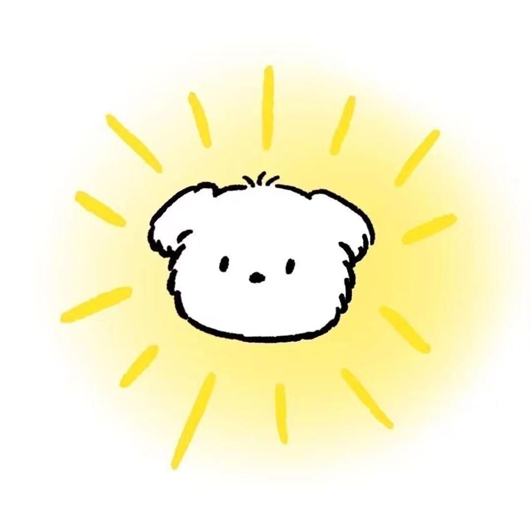 今天吃菠萝没泡盐