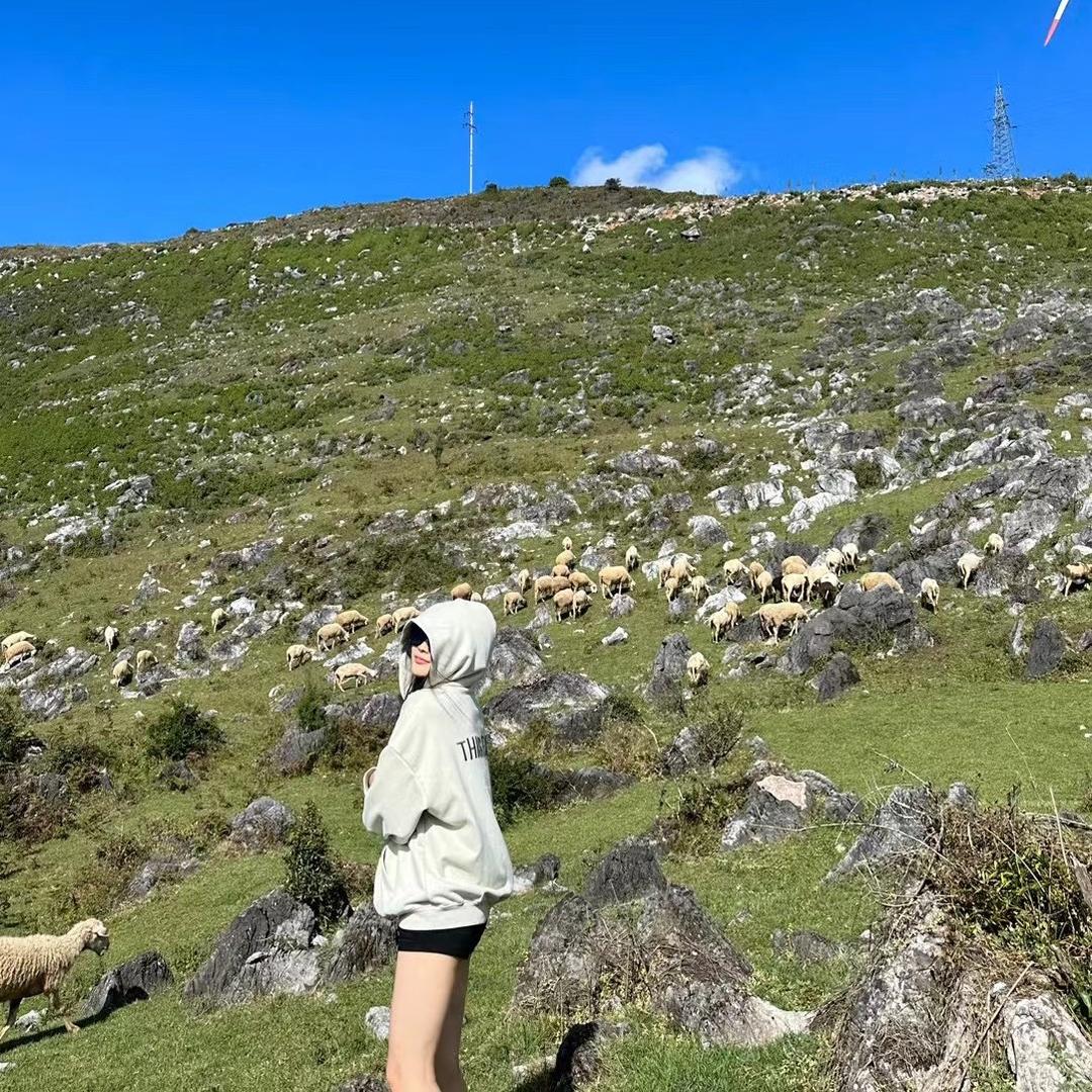 站在石墩上的蜥蜴