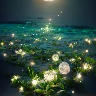 星陈大海