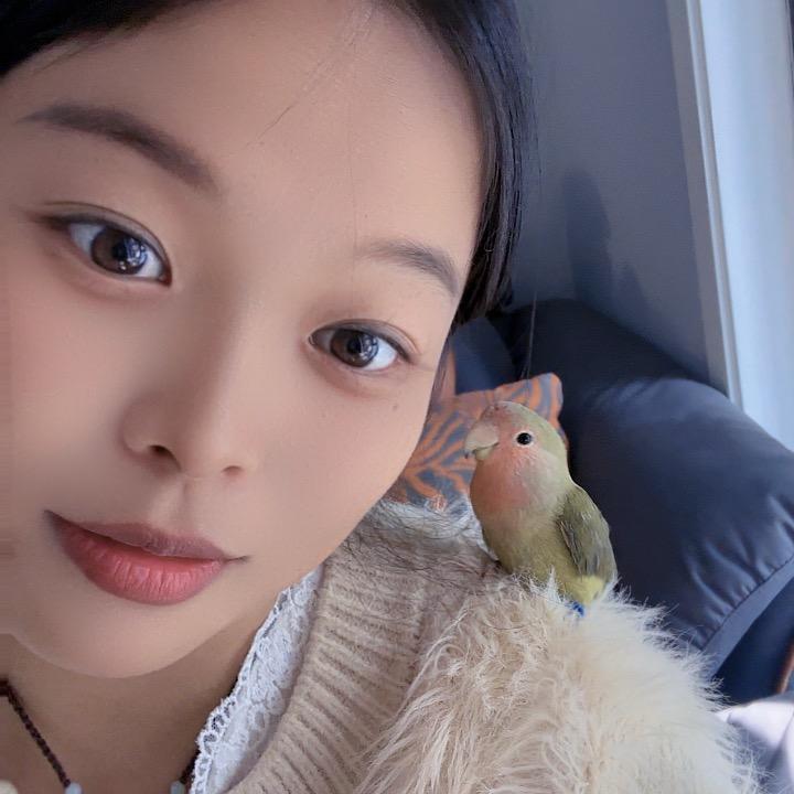 时来🫶运转