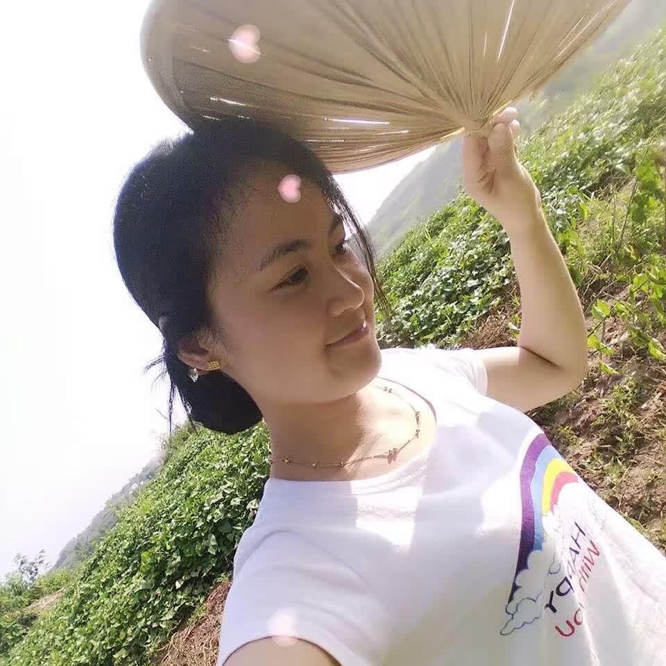 小小（首    播）