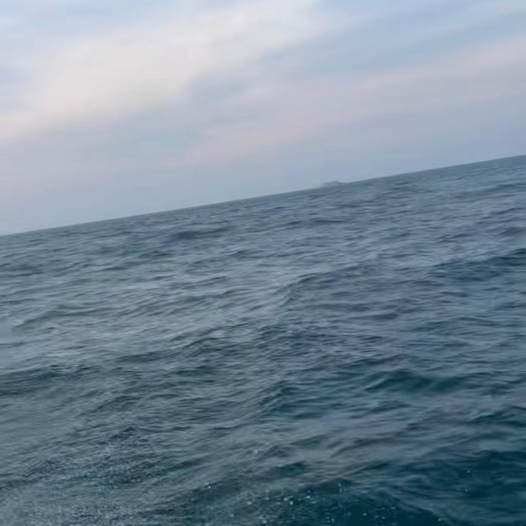 百川海归