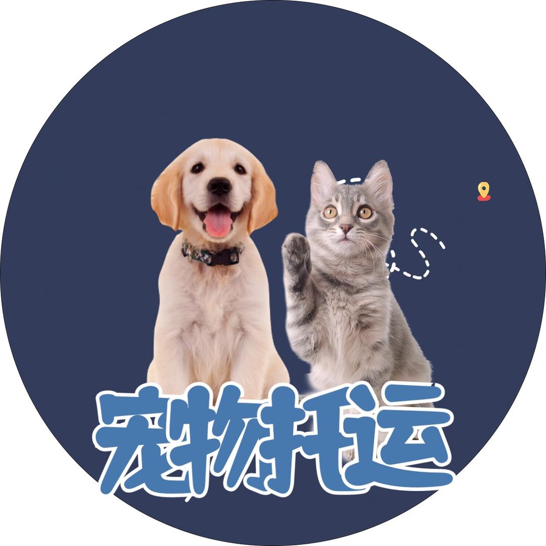 哈尔滨速达宠物托运公司