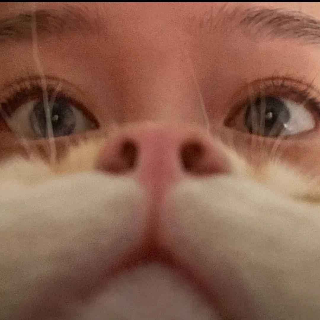 讹咪🐱