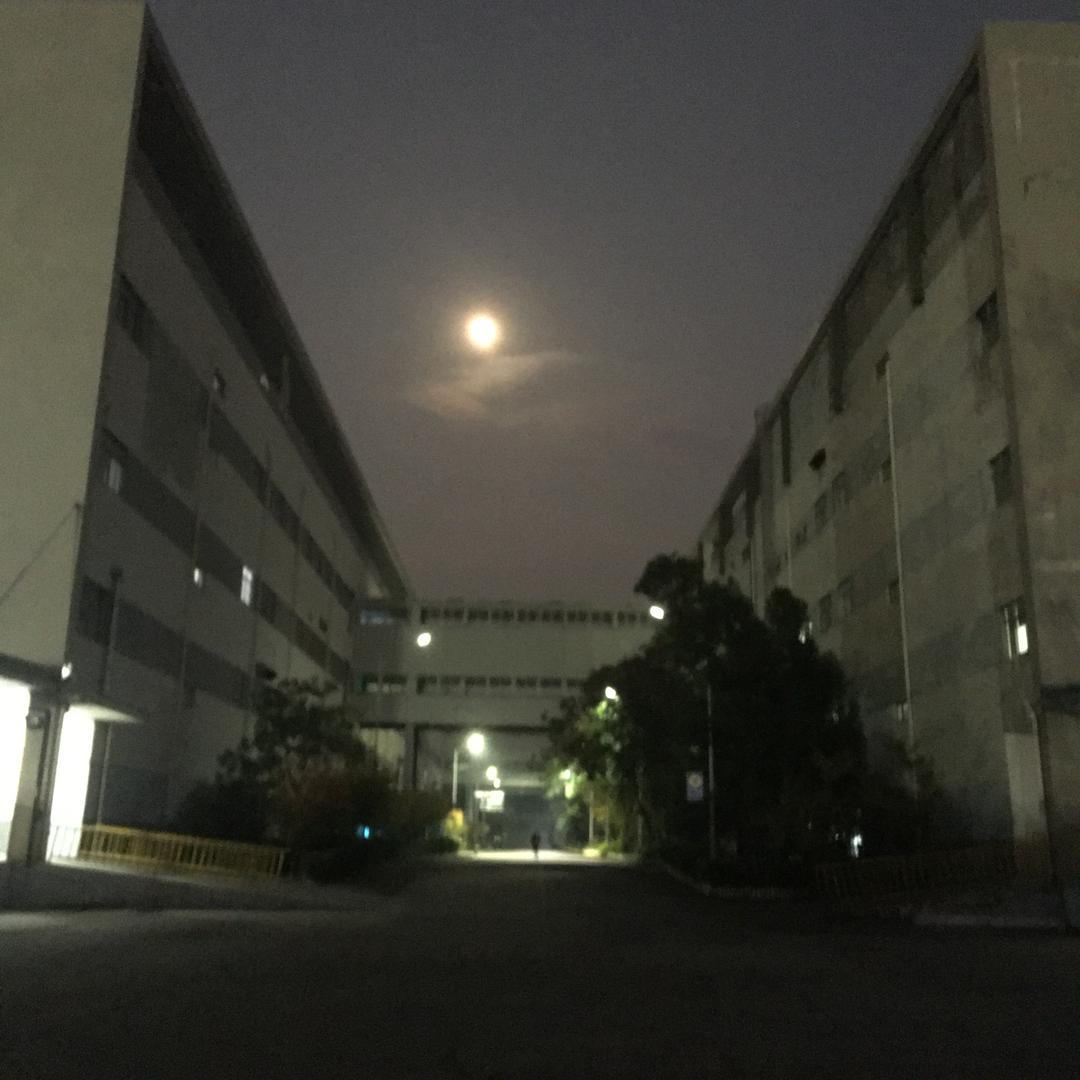 我是谁