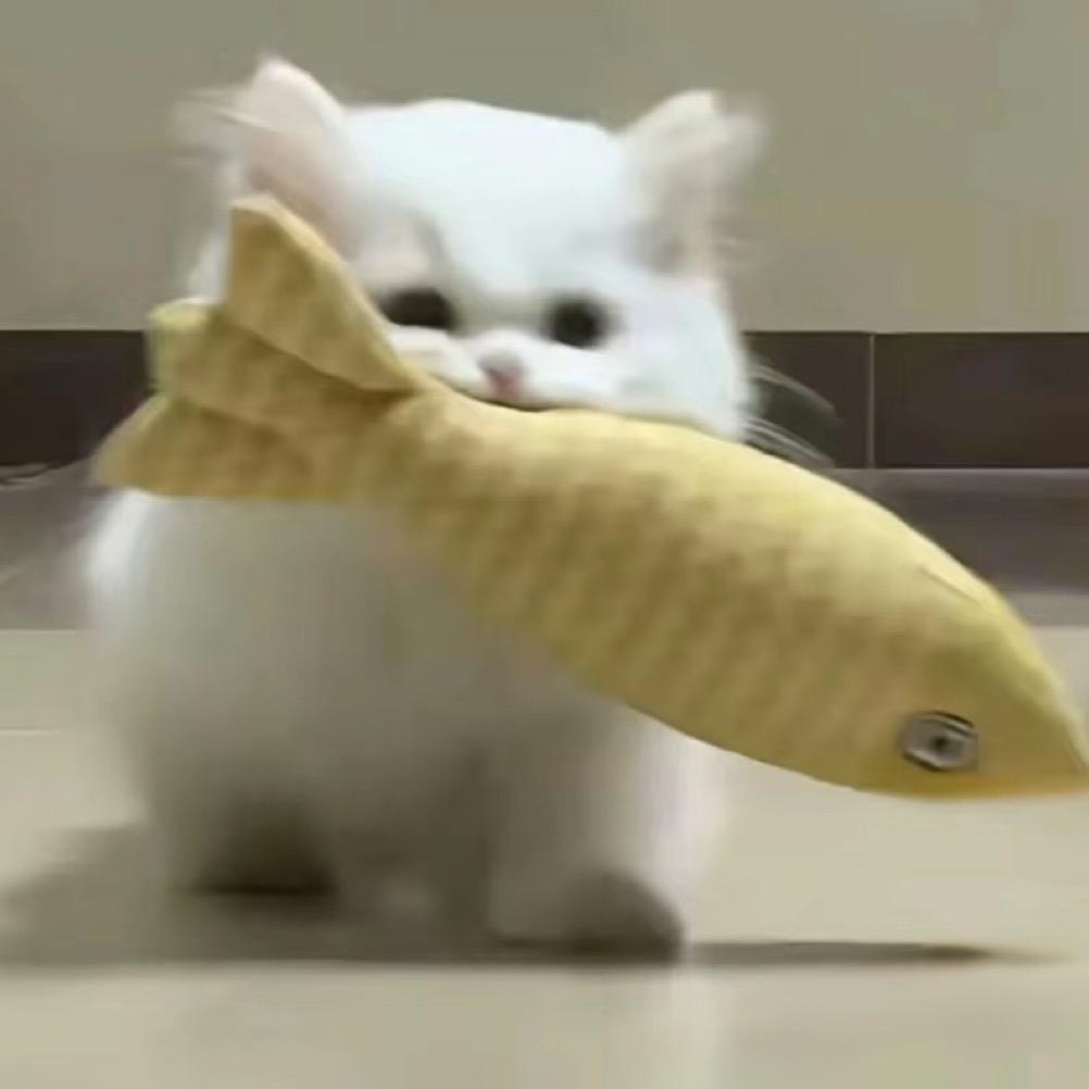 🎀猫猫优品