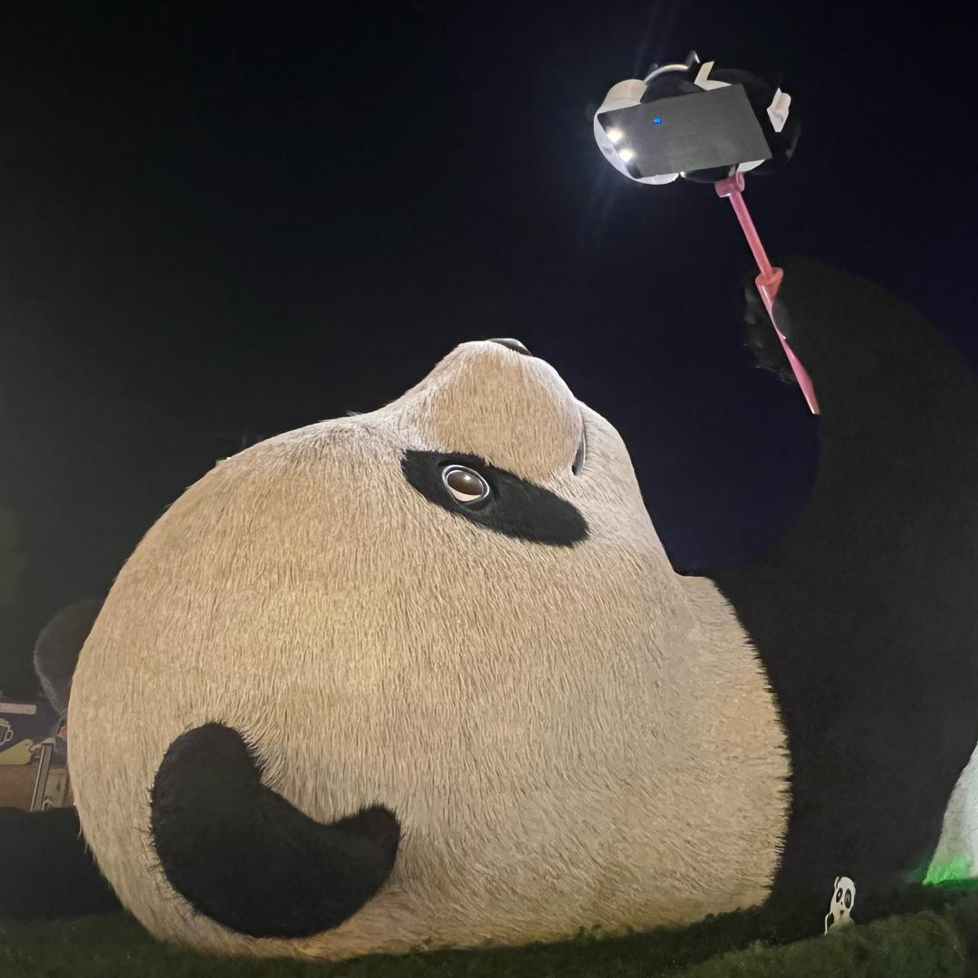 NiNi