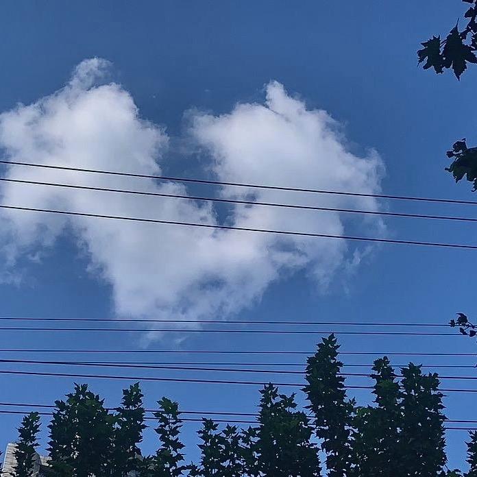 简信