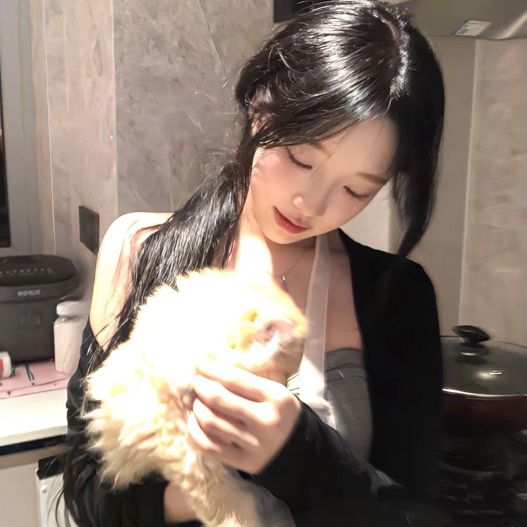 冰块的猫