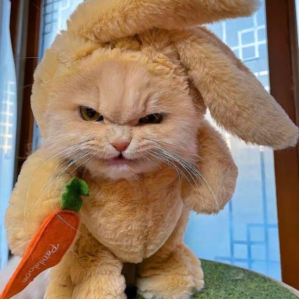 鸡蛋汤